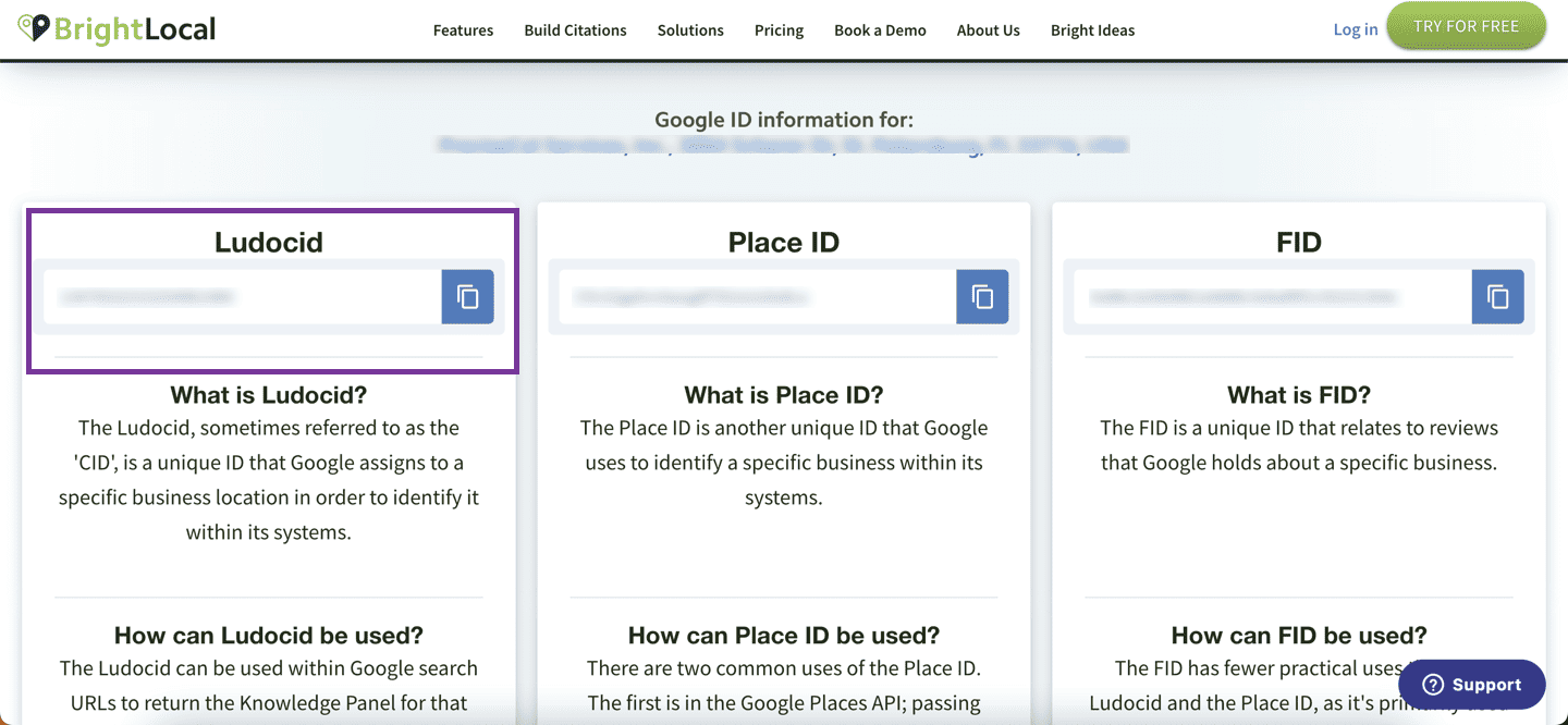 LocalBusines Schema Example + Template for Local SEO | Local PR